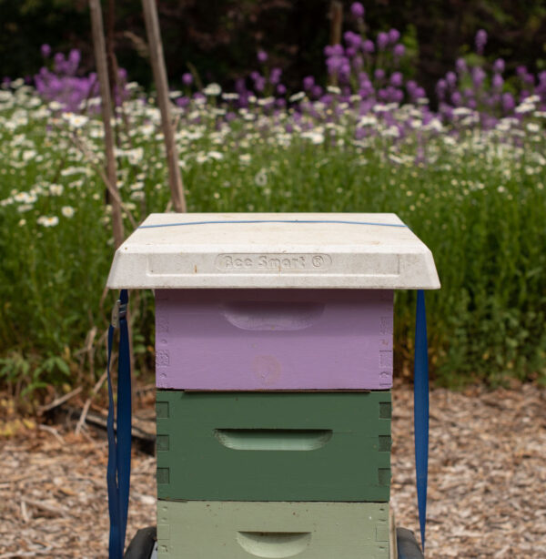 Ultimate Hive Cover | Durable Protection for Your Apiary - Image 5