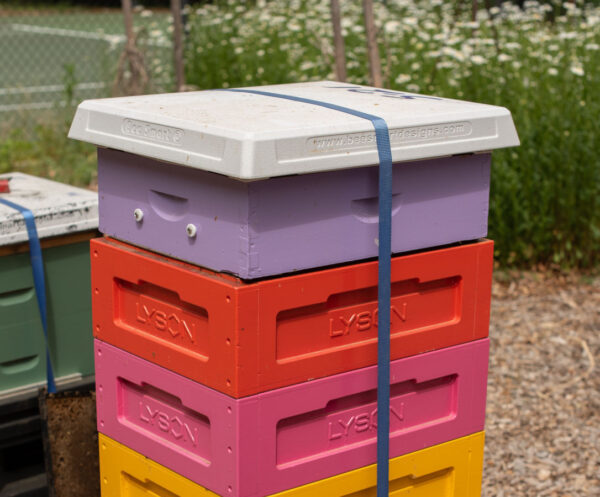 Ultimate Hive Cover | Durable Protection for Your Apiary - Image 4