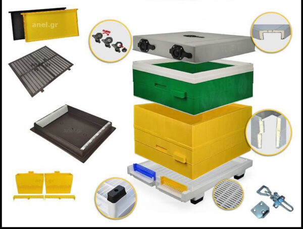 The Anel Complete Hive