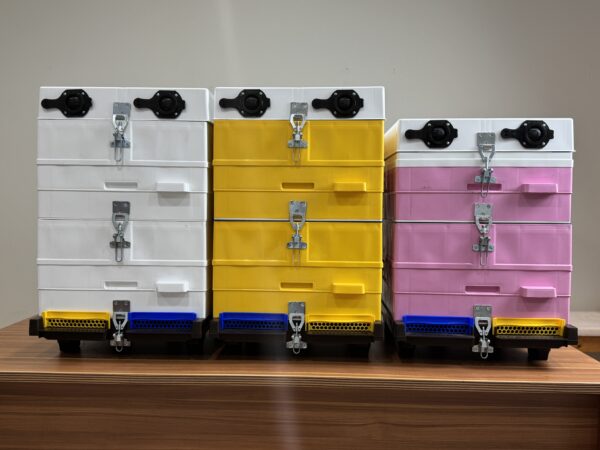 The Anel Complete Hive - Image 2