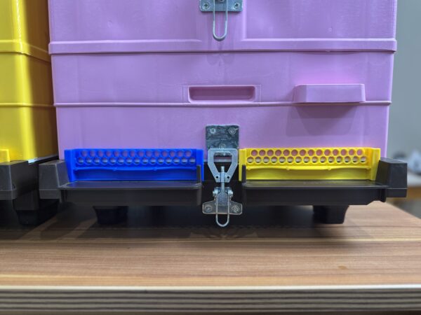 The Anel Complete Hive - Image 4