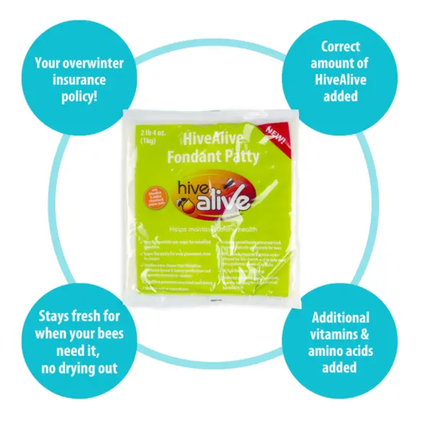 Hive Alive Fondant